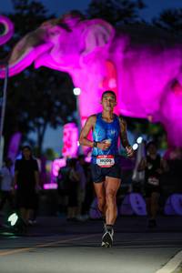 BIB: 
                            <button type="button" onclick="openModal(26529952)" class="btn btn-primary btn-sm float-right btn-popup" data-toggle="modal" data-target=".modal-high-quality">
                        <i class="fas fa-shopping-cart"></i> Add to Cart
                    </button>
                                            <button type="button" onclick="isThisMe(26529952, true)" class="btn btn-success btn-sm float-right btn-popup btn-isme hidden" data-toggle="tooltip" data-placement="bottom" title="นี่คือรูปของคุณใช่ไหม คลิกที่นี่เพื่อเอาเข้าอัลบั้ม">
                        <i class="fas fa-plus"></i> Add to album
                    </button>
                    <button type="button" onclick="isThisMe(26529952, false)" class="btn btn-warning btn-sm float-right btn-popup btn-isnotme hidden">
                        <i class="fas fa-ban"></i> Remove from album
                    </button>